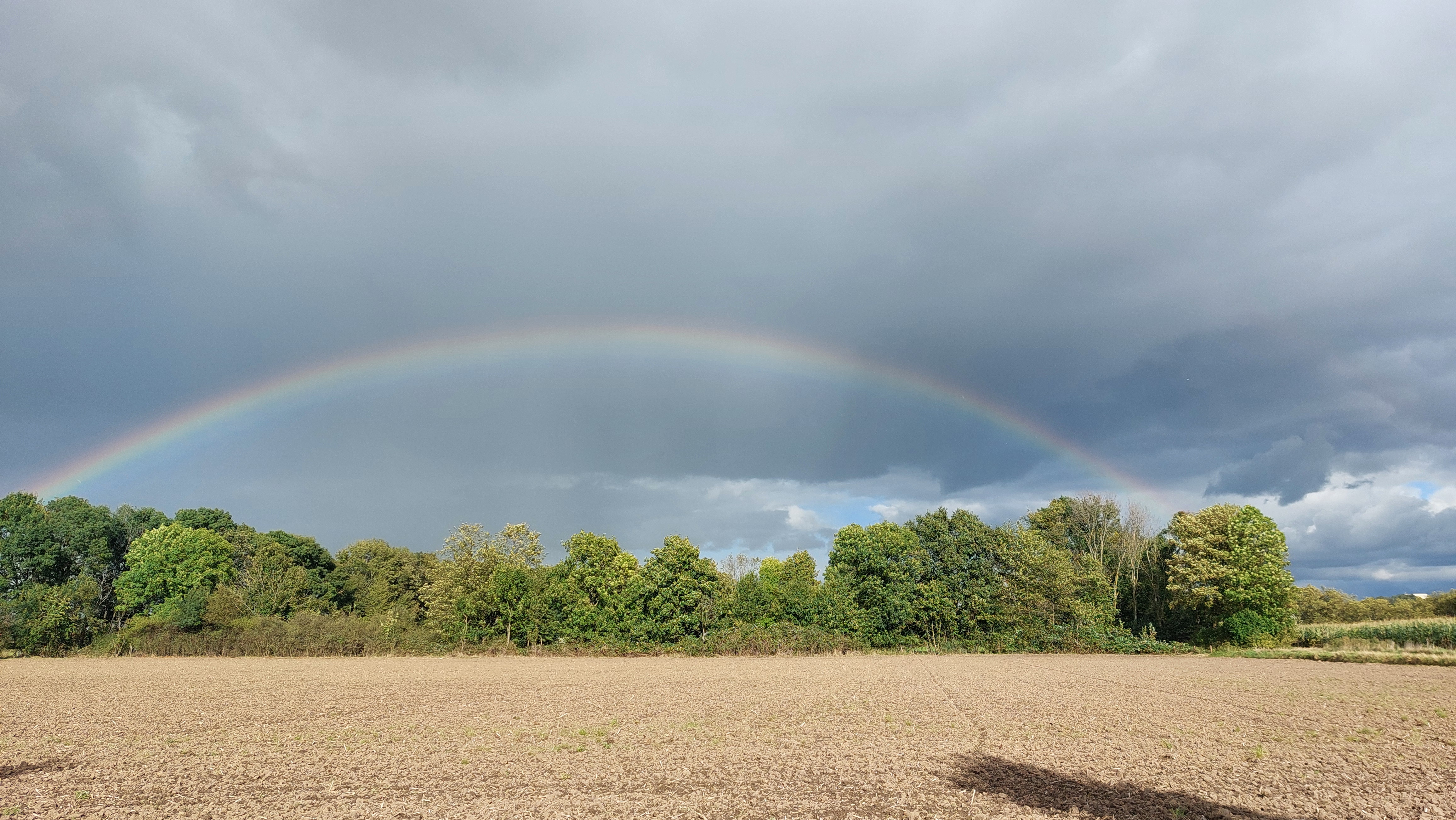 Historische Ansicht von Baerl